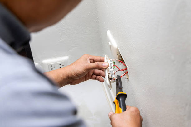 Best Ceiling Fan Installation Electrician  in Byron, MN